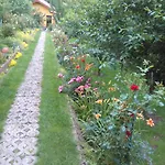 Pensión Pensiunea Lucia Ana Cluj-Napoca