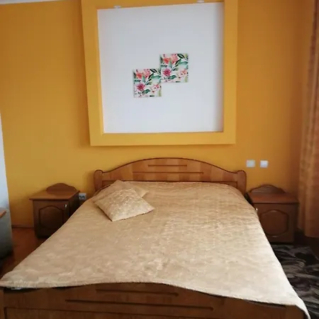 Pensión Pensiunea Lucia Ana