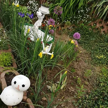 Pensiunea Lucia Ana Casa de hóspedes Cluj-Napoca