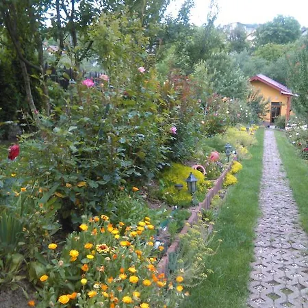 Pensjonat Pensiunea Lucia Ana Kluż-Napoka