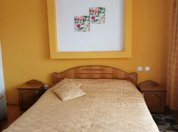 Casa de hóspedes Pensiunea Lucia Ana