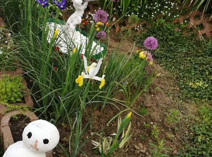 Pensiunea Lucia Ana Penzion Kluž