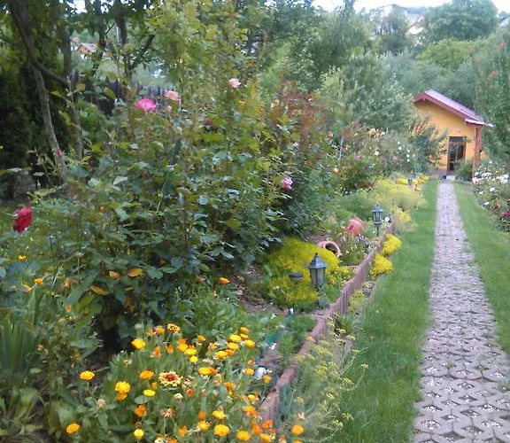 Casa de hóspedes Pensiunea Lucia Ana Cluj-Napoca