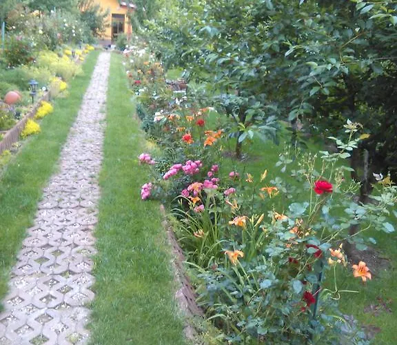 Casa de hóspedes Pensiunea Lucia Ana Cluj-Napoca