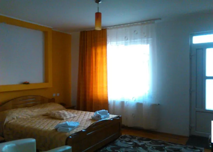 Pensiunea Lucia Ana Pensión Cluj-Napoca